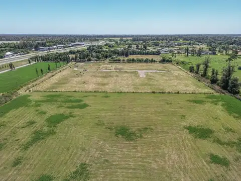 Terreno en Venta de 8000,0 m2