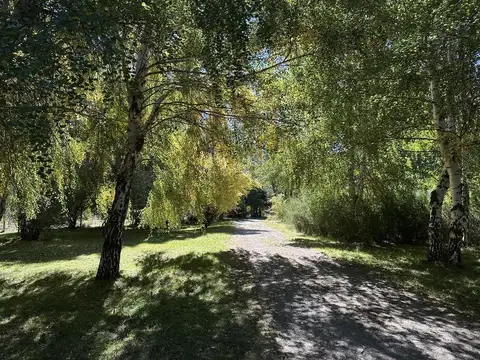 2 hectáreas con casa, arroyo y todos los servicios | San Martín de los Andes