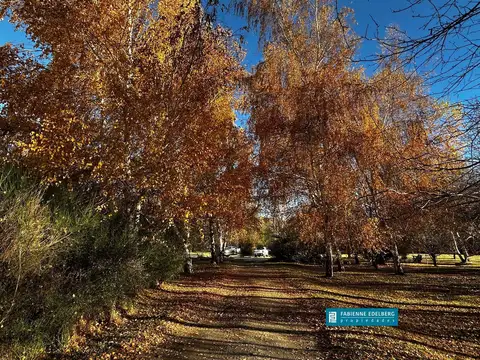 2 hectáreas con casa, arroyo y todos los servicios | San Martín de los Andes