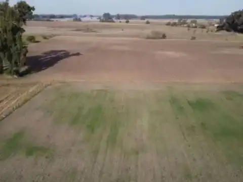 CAMPO EN VENTA EN LA PLATA 8 HECTAREAS