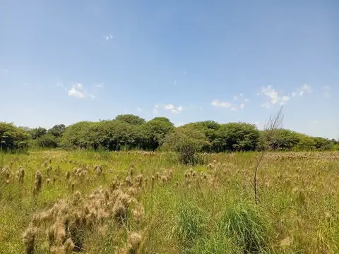 ALQUILER LOTE INDUSTRIAL (ALTA GRACIA), CORDOBA