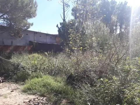 Terreno en Venta 12  mts Frente