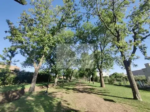lote interno en santa Guadalupe Pilar