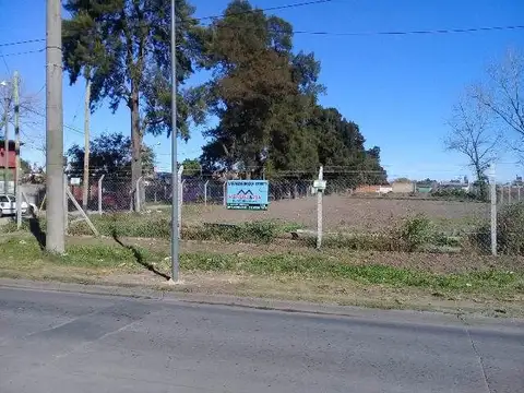 FIGUEROA 100