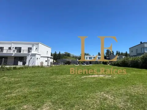 San Matias 100