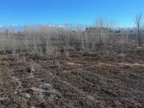 Ruta 40 km 74 Tupungato Mendoza