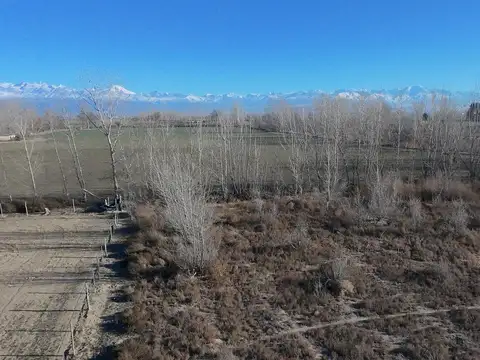 Campo en venta 4.5 Hectareas Ruta 40 Tupungato Mendoza