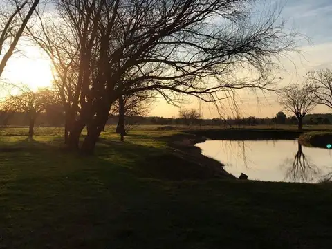 Terreno en Venta en Barrio El Campo - Fincas Exclusivas Cardales, USD 25.000