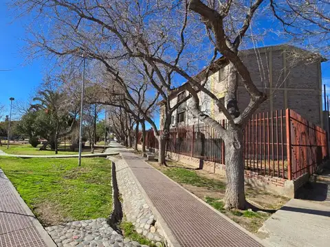 Los Penitentes esquina Cerro El Yaucha Barrio S.O.E.V.A 100