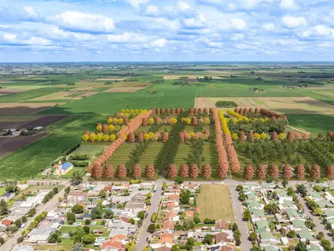 Terreno en Venta de 348,0 m2