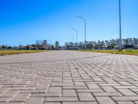 Terreno en Venta 29  mts Fondo