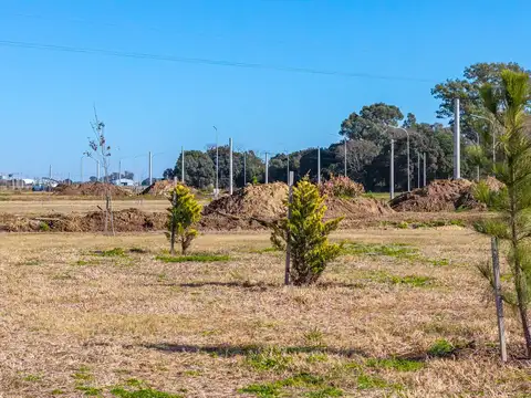 Terreno en General Lagos - GAIA