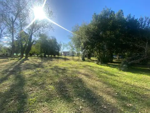 407 e/ 19 y 21 , Piso 0