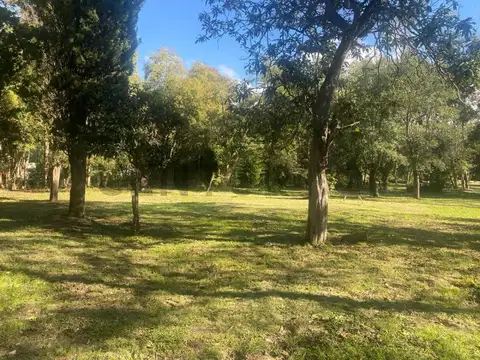 Terreno en Venta 13  mts Frente