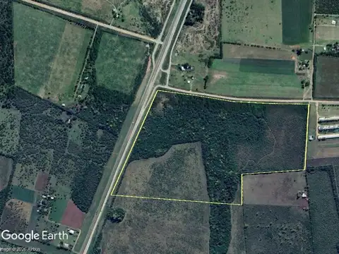 Campo en Gualeguaychu