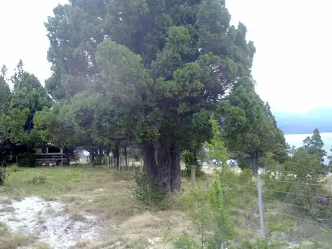 Terreno con vistas al lago Meliquina 1000 m2 posibilidad de lotes linderos tambien - Villa Meliquina