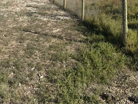 Terreno en Venta 16  mts Frente