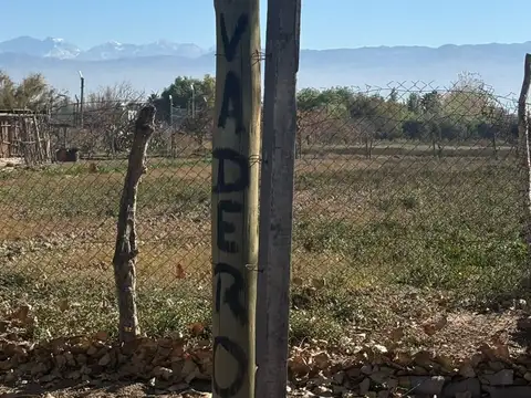 buenos vecios 7600