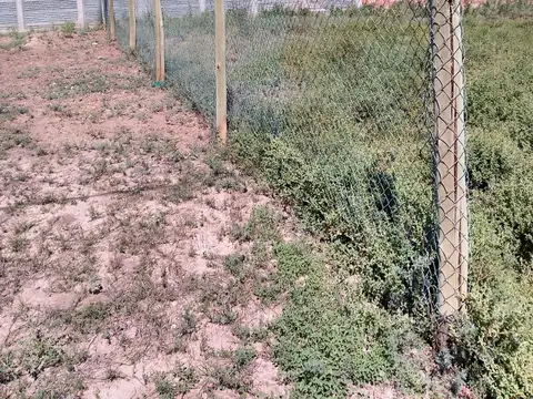 buenos vecios 7600