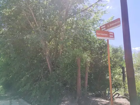 San Cayetano