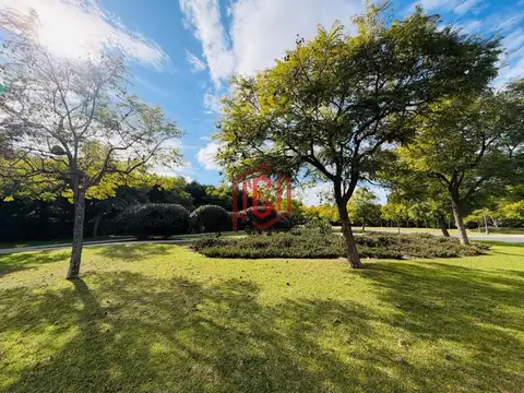 Terreno en Venta de 4292,0 m2