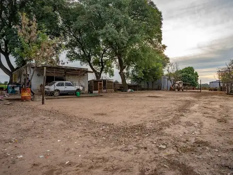 Campo con Casa de tres dormitorios en Fighiera