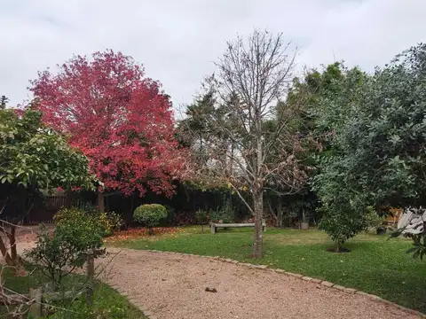 Venta Terreno con mejoras en San José de Carrasco