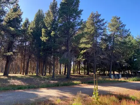 Terreno en Venta en Dina Huapi, USD 95.000
