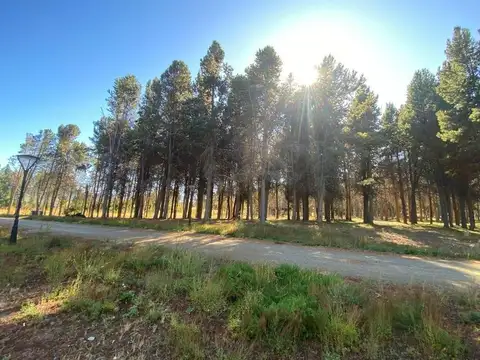 Terreno en Venta de 1109,0 m2