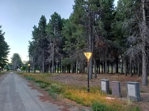 Venta de lote en Dina Huapi Villa de Miguel con salida al lago