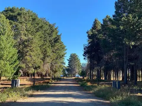 Terreno en Venta de 1109,0 m2