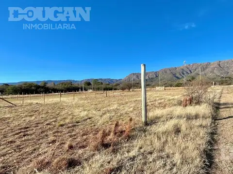 Tradición Nte.