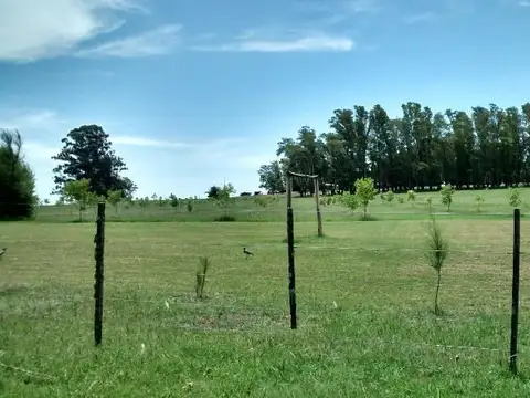 Campo en Venta Mixto