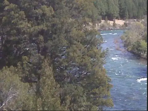 Ruta Provincial 63- Rio Caleufu