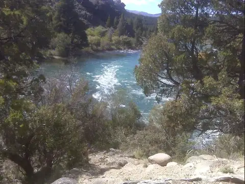 Terreno de 3 hectáreas en Venta con Costa del Rio Caleufu - Neuquen