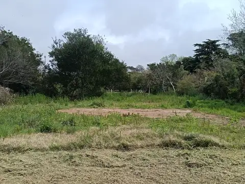 Terreno en Venta 20  mts Frente