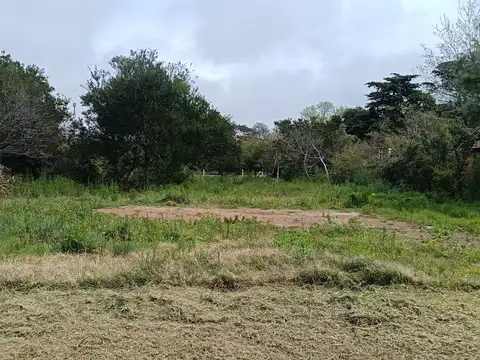 Terreno en Venta 40  mts Fondo