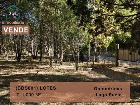 (BDS001) LAS GOLONDRINAS (Lago Puelo) LOTES 1.000 mts2 C/ construccion