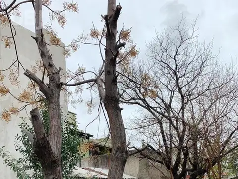 (DBJ-111) DOMINGUEZ 700 - IDEAL INVERSOR