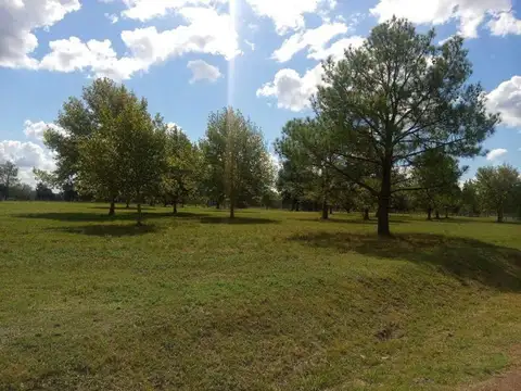 Terreno en Venta de 1050,0 m2