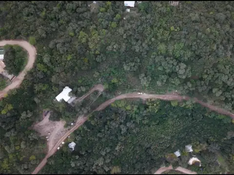 Gustavo Cerati 1100