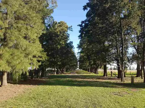 VENTA CHACRA  77450 M2 CAÑUELAS
