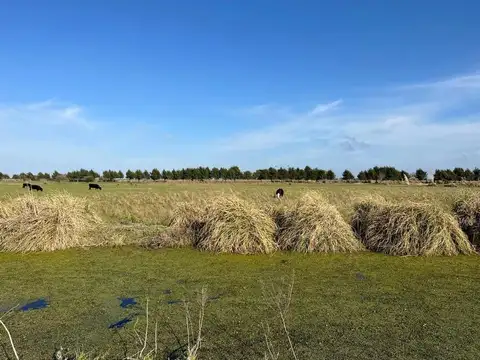 CHACRA LA MANSA