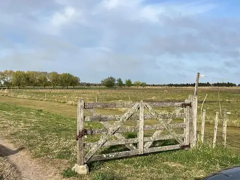 CHACRA LA MANSA