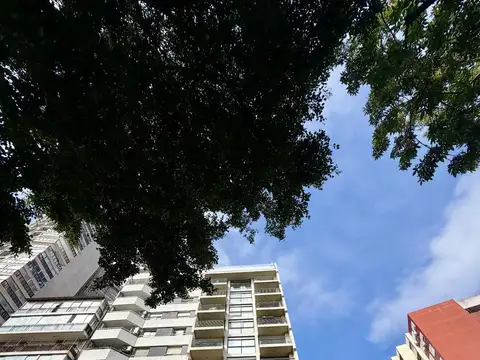 Dorrego al 2600