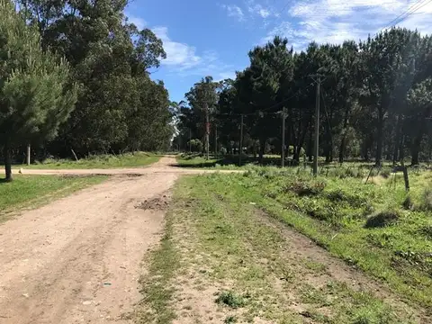 Terreno de 10mt de Frente por 30 mt de fondo en 66 y 187  Villa Zabala