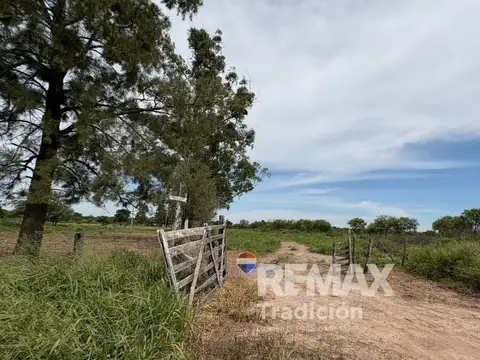 CAMPO 419 HAS - GANADERO-VENTA - COLONIA GUAYAIBI