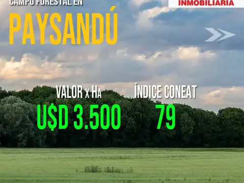 Campo en venta en Pueblo Morató, Paysandú
