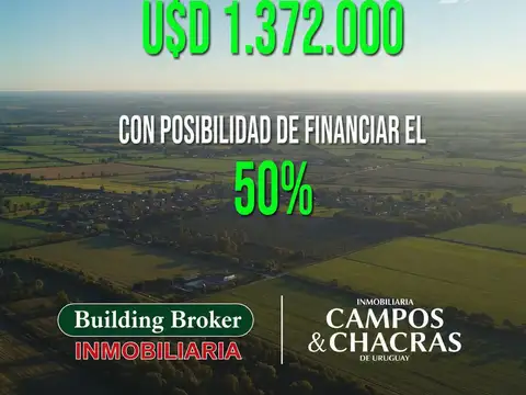 Campo en Venta de 392  ha