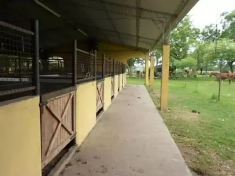 Campo en  Carlos Keen